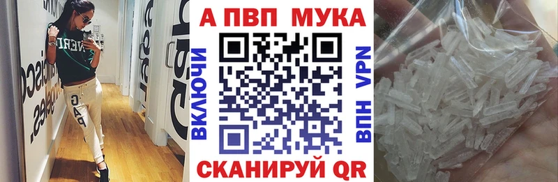 Alpha PVP мука  как найти наркотики  Дербент 