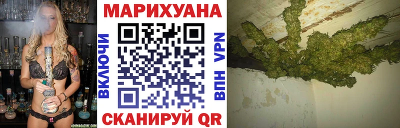 Марихуана сатива Дербент